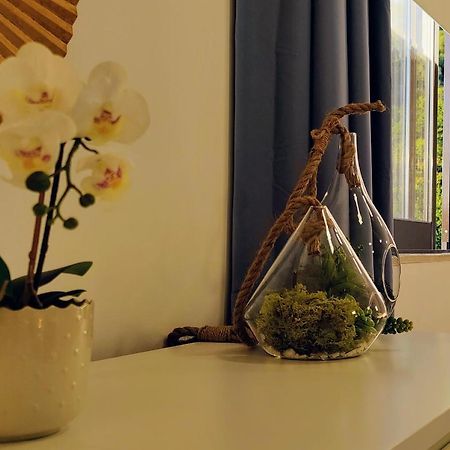 Stylish And Elegant Studio - Best View And Location In Coimbra Downton Экстерьер фото