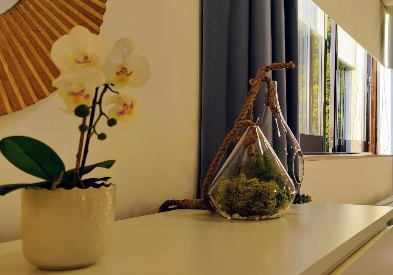Stylish And Elegant Studio - Best View And Location In Coimbra Downton Экстерьер фото